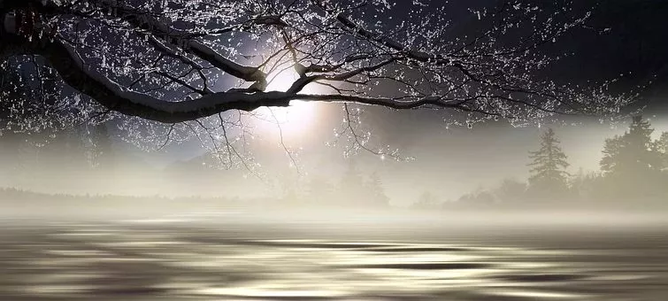 The Essence of Traditional Chinese Medicine