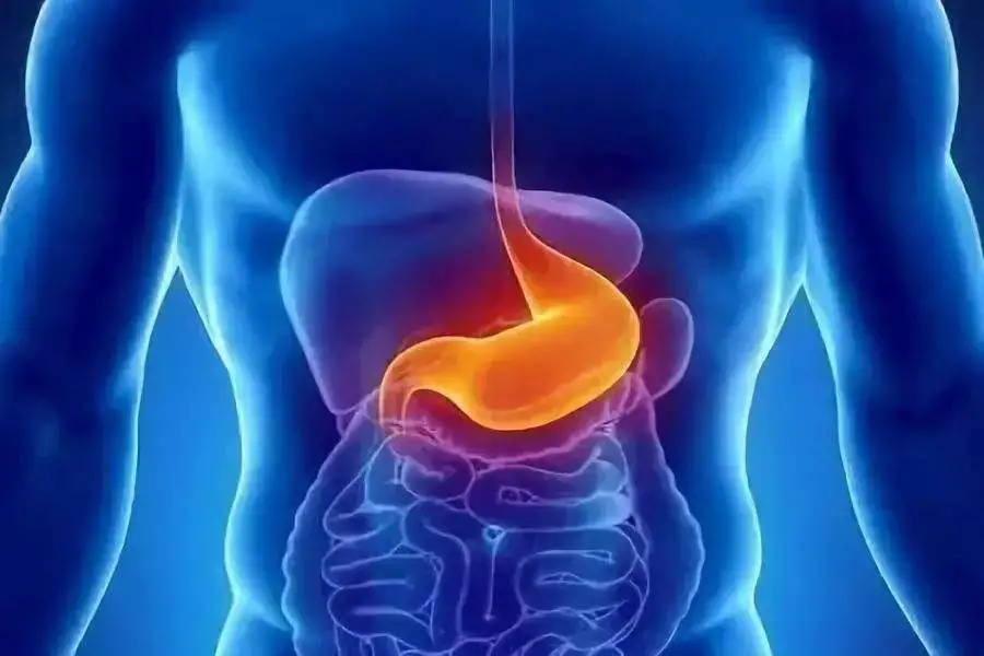 How does Chinese medicine see stomach problems? What are the symptoms? Take you to reveal the top 5 clinical manifestations of stomach disease in Chinese medicine