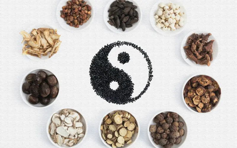 The difference between Chinese medicine, Western medicine and nutrition