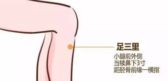 Chinese medicine: spleen deficiency on behalf of life is thin, Chinese medicine two acupuncture points to make you disease-free!